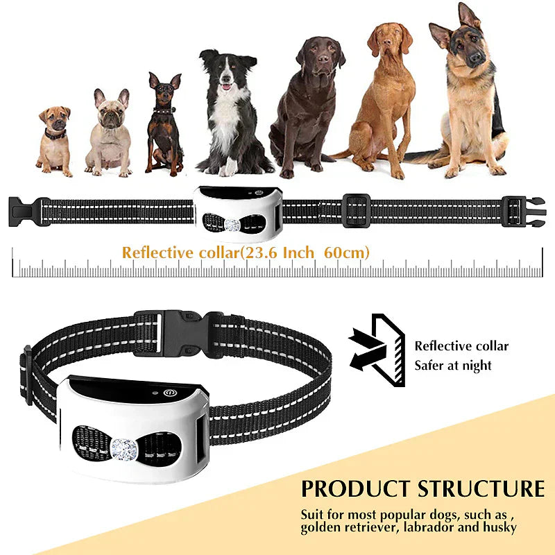 2-in-1 Hundezaun mit Ferntrainer & wasserdichtem Halsband bis 300 m Reichweite