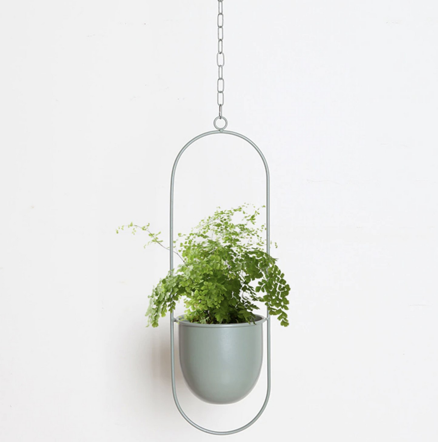 Moderner Wand-Pflanzenhalter aus Metall – Minimalistisches Design in verschiedenen Farben und Formen