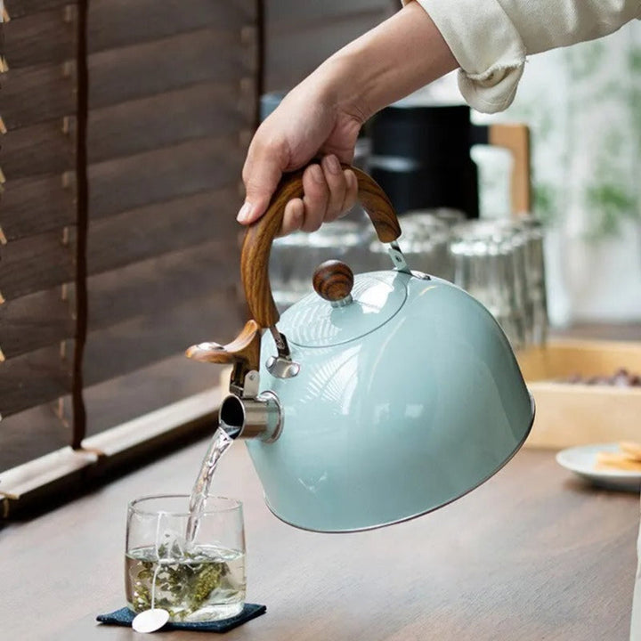 Velvettle Edelstahl-Wasserkocher mit Pfeifton und elegantem Design