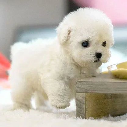 Interaktiver Plüschhund mit realistischen Bewegungen & Geräuschen – ideal für Kinder & Senioren