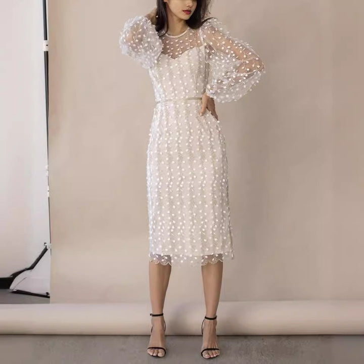 Women’s Sheer Dress with Transparent Puff Sleeves and Floral Embroidery