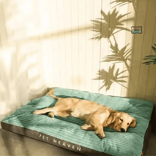 Orthopädisches Hunde Komfortbett - Komfortable Ruhe Unterstützung