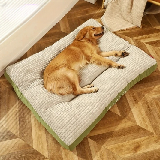 Bequemes Hundebett mit orthopädischer Unterstützung für kleine und große Hunde