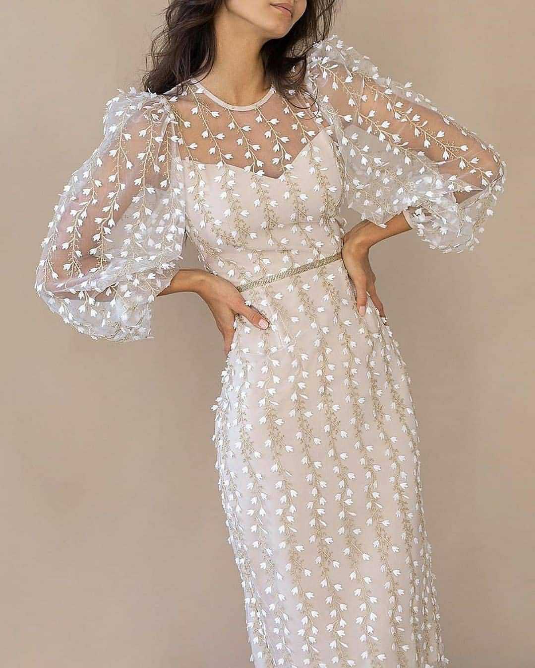 Women’s Sheer Dress with Transparent Puff Sleeves and Floral Embroidery