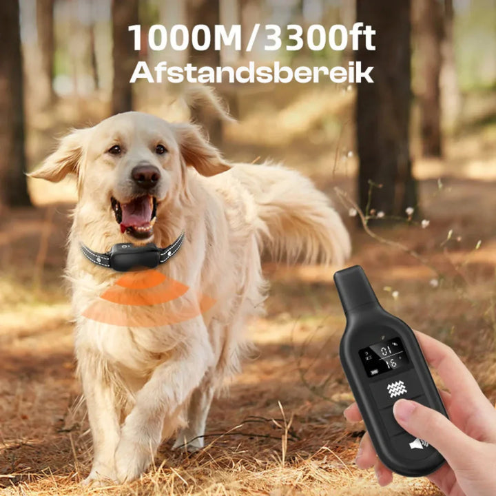 Elektrisches Hundehalsband mit Fernbedienung – Trainingshalsband mit Signalton & Vibration