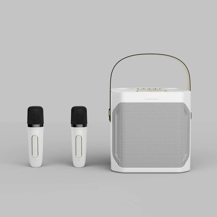 Tragbarer Karaoke Bluetooth Lautsprecher mit 360° Surround und zwei Mikrofonen
