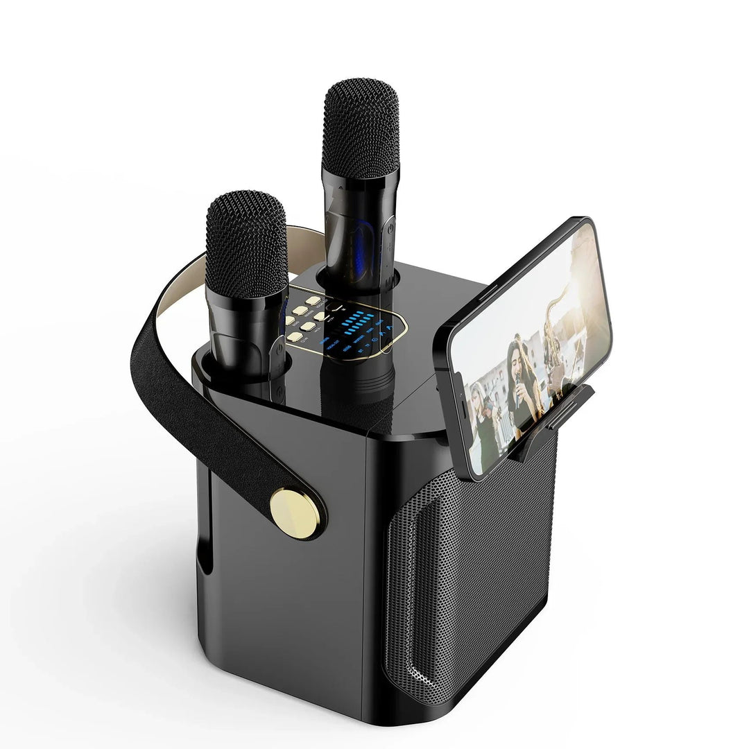 Tragbarer Karaoke Bluetooth Lautsprecher mit 360° Surround und zwei Mikrofonen