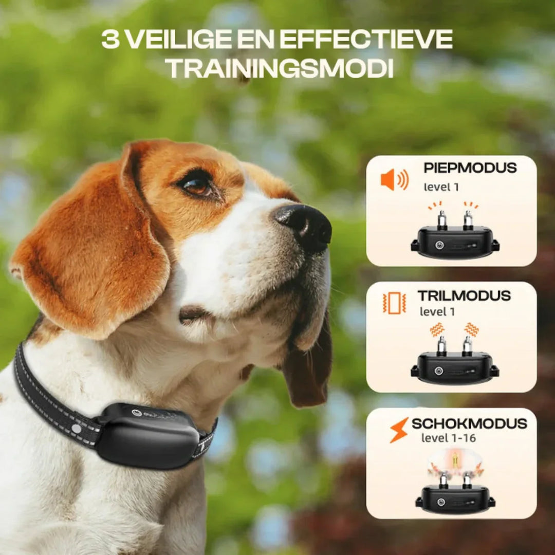 Elektrisches Hundehalsband mit Fernbedienung – Trainingshalsband mit Signalton & Vibration