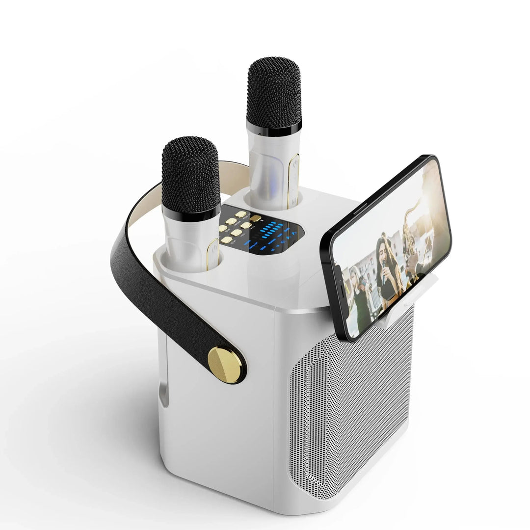 Tragbarer Karaoke Bluetooth Lautsprecher mit 360° Surround und zwei Mikrofonen