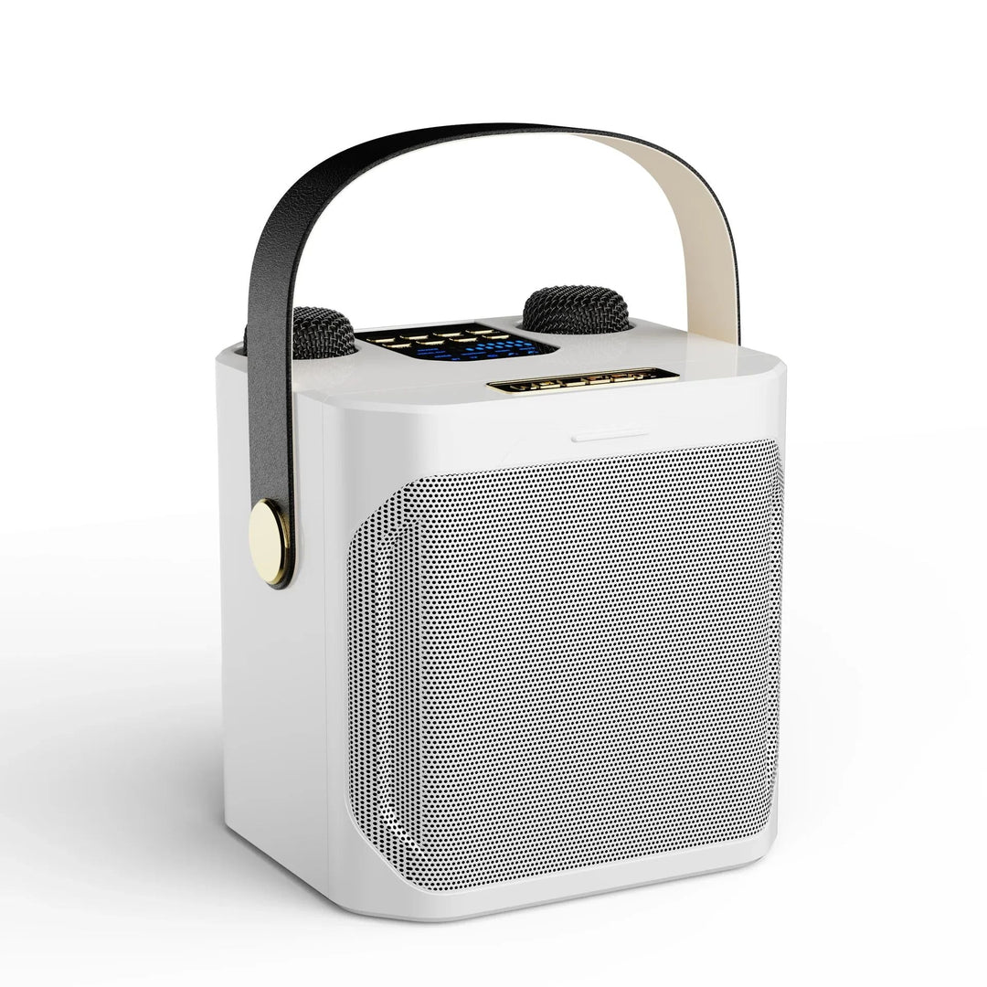 Tragbarer Karaoke Bluetooth Lautsprecher mit 360° Surround und zwei Mikrofonen