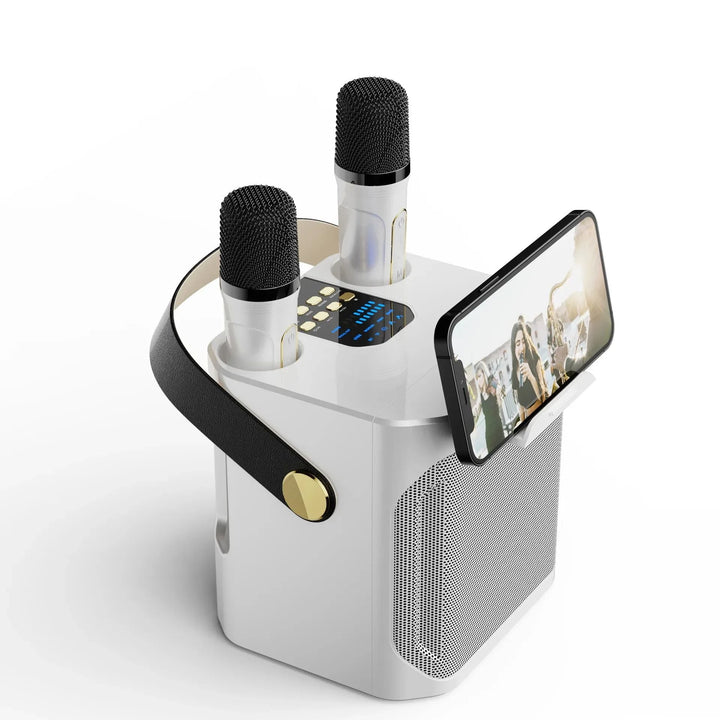 Tragbarer Karaoke Bluetooth Lautsprecher mit 360° Surround und zwei Mikrofonen
