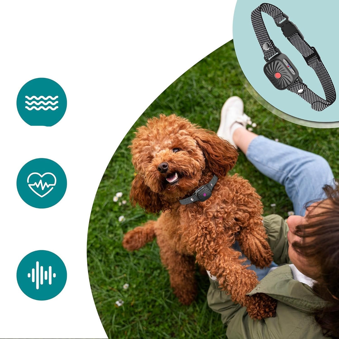 Anti-Bell Hundehalsband zur sanften Geräuschkontrolle