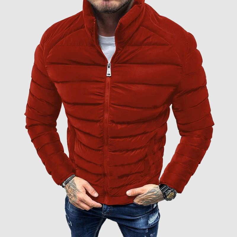 Herren Steppjacke Mit Leichtem Slim Fit Und Stehkragen