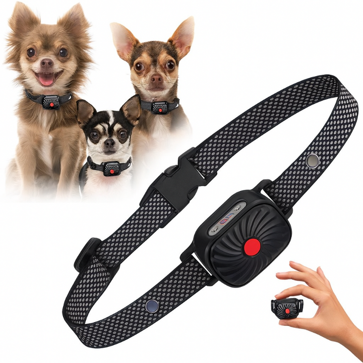 Anti-Bell Hundehalsband zur sanften Geräuschkontrolle