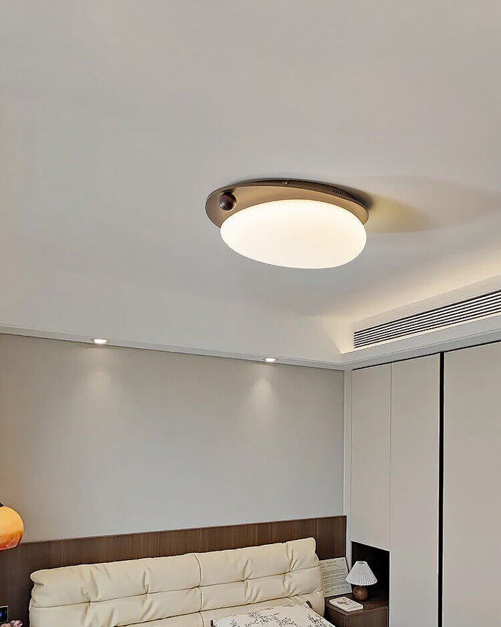 Deckenleuchte mit integrierter LED aus Holz und Metall seitlich gezeigt