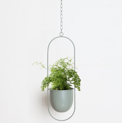Moderner Wand-Pflanzenhalter aus Metall – Minimalistisches Design in verschiedenen Farben und Formen