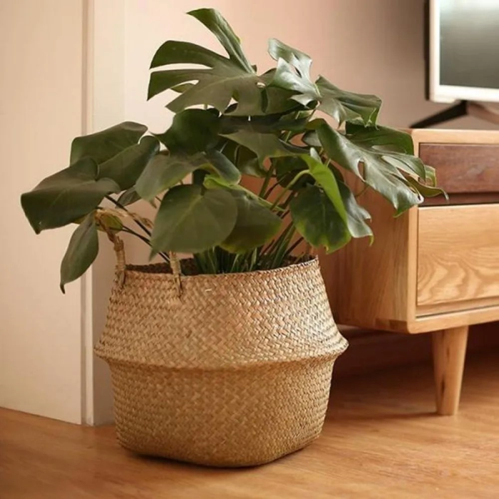 Pflanzenhalter aus Rattan, geflochtenes Design