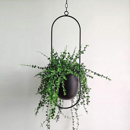 Moderner Wand-Pflanzenhalter aus Metall – Minimalistisches Design in verschiedenen Farben und Formen